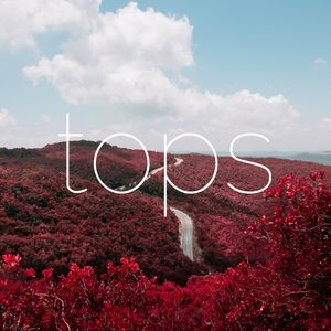 Section:: Tops
